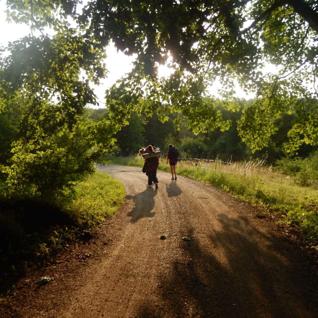 Scouts marchant sur un chemin