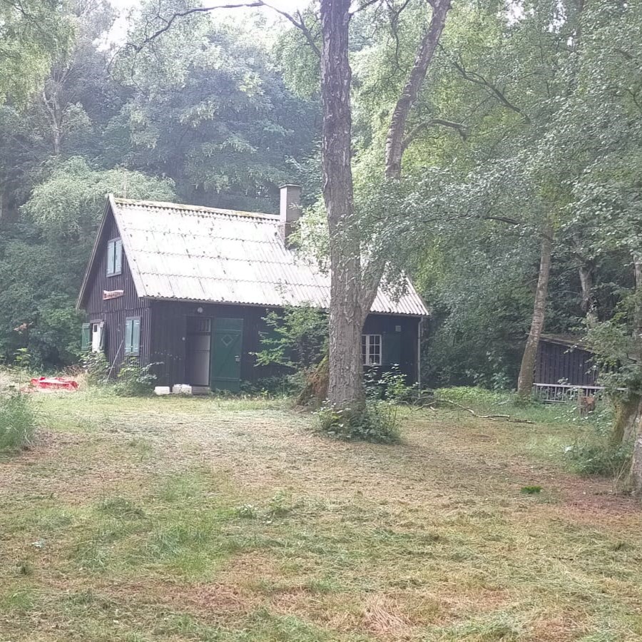 Cabane dans la forêt